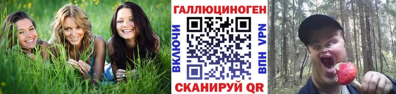 Купить где  Талдом  Псилоцибиновые грибы Psilocybine cubensis 